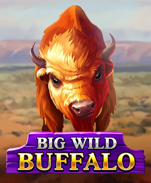 Play Big Wild Buffalo at Oh My Spins Casino